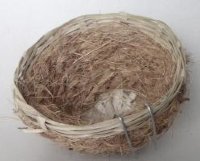 гнездо кокос 13