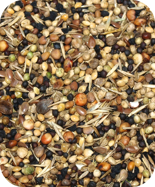 Deli Nature - 94 Дикорастущие семена 1 кг фасовка
