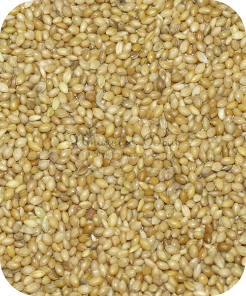 Сенегальское желтое просо 1 кг